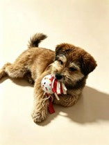 ETPU Tug of Toy