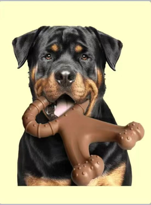 Dog Breed