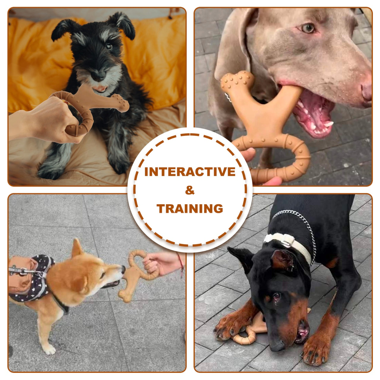Dog Breed