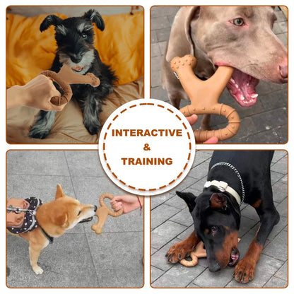 Dog Breed