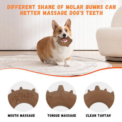 Dental Care Magic Toy