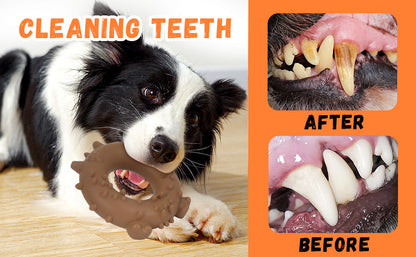 Dental Care Magic Toy